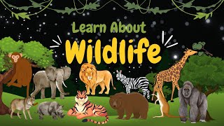 Learn Wild Animals Names For Children, Kids And Toddlers | WILD ANIMALS |  Learn about Wildlife