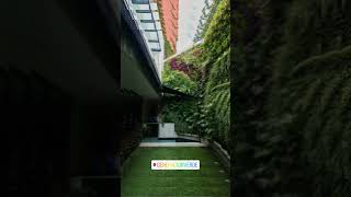 Mantenimiento de Jardines Verticales