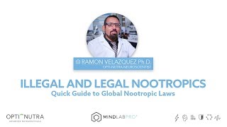 Illegal and Legal Nootropics – Quick Guide to Global Nootropic Laws | Mind Lab Pro®