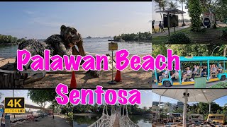 Walking Tour | Palawan Beach | Sentosa | SG