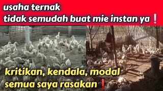 tidak ada yang instan! ternyata beternak bebek tidak semudah membalikkan tangan