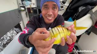 (Boat Series) Episode 38- Lagi² father & son fishing