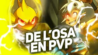 On retrouve de l'OSA en PVP ! DOFUS RETRO PVP