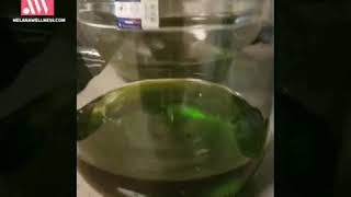 Quality Matters When Making RSO!!! (Cannabis Oil)