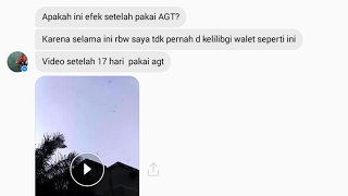 Testimonial dr customer produk makanan/pakan AGT walet