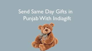 Send Same Day Gifts in Punjab With Indiagift