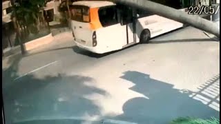 Imagens mostram árvore caindo em cima de ônibus