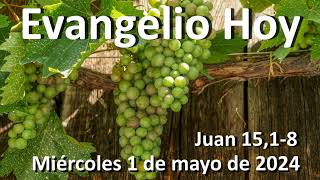 EVANGELIO DEL DIA - Miércoles 1 de mayo de 2024 - Juan 15,1-8