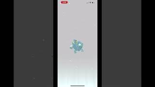 Evolving BERGMITE SHINY to AVALUGG SHINY | Pokémon Go