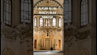 Alasan Allah menciptakan manusia#shorts#islam#dakwah#islamicvideo#hijrah#barakallah#fyp