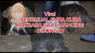 PENEMUAN KURA-KURA RAKSASA