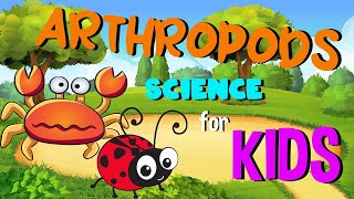 Arthropods | Science for Kids