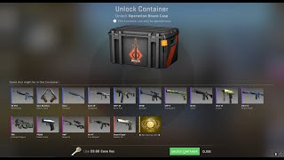 Opening a BRAVO case every WEEK until I get a Fire Serpent (or knife (Week 14))