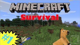 New Survival Series! Minecraft Survival SMP #1!