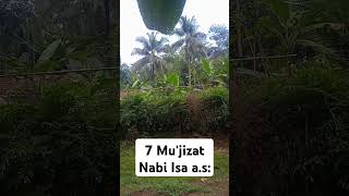 7 Mu'jizat Nabi Isa a.s: