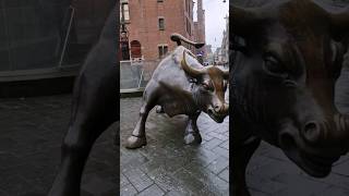 Great BULL of fire #bullmarket #stockmarketeducation #moneymanagement #learningvideos #moneymindset