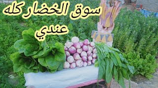 لسه قاعد في الايام اللي ما يعلم بها الا ربنا