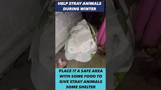 #shorts  Please help stray cats and dogs by providing some shelter from the cold