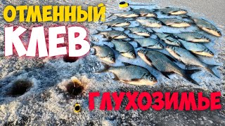 СУПЕР РЫБАЛКА в ГЛУХОЗИМЬЕ! Ловля подлещика на мормышку. Тактика ловли 🎣 Зимняя рыбалка.