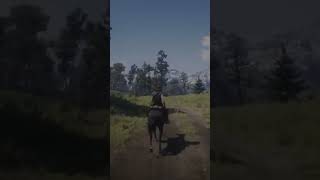 RED DEAD REDEMPTION 2 PS4 [Free Roam Gameplay] #shorts