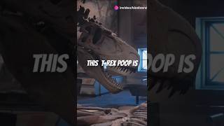 The Largest Dinosaur Poop Ever Found! #biofacts #facts #factshorts #biodiversity #biolife