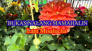 BUKAS NALANG KITA MAMAHALIN-Lani Misalucha