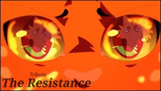 Warrior Cats Tribute - The Resistance