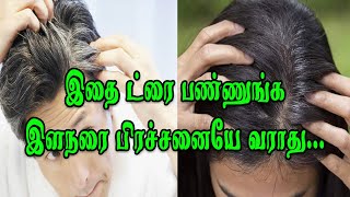 இதை ட்ரை பண்ணுங்க இளநரை பிரச்சனையே வராது | TIPS FOR PRE MATURE GREY HAIR