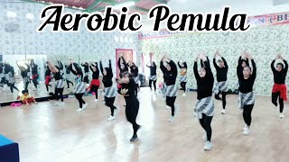 Latihan Aerobik Pemula Pencegahan Kepikunan Dini By Watik Primadona