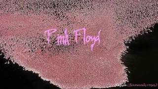 Pink Floyd "Valley"