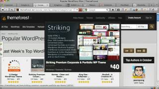 Make Your Wordpress Website Look Professional