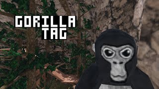 PLAYING GORILLA TAG WITH FANS!!! ROAD TO 3K!