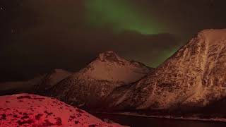 Lyngenalpen Husøy auf Senya Gryllefjord Håmannsvika & Devil's Teeth Okshornan