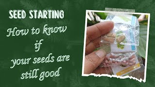 How Viable Are Your Seeds? Checking Seed Viability At Home