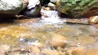 Running Water Sound For Sleep And Meditation, Stream, Relaxing Nature 4 Stress Relief