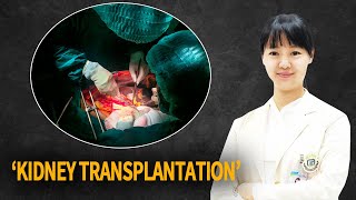 All about the Kidney Transplant!