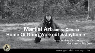 Martial Art Contra Corona Tai Chi / Qi Gong home workout #stayhome