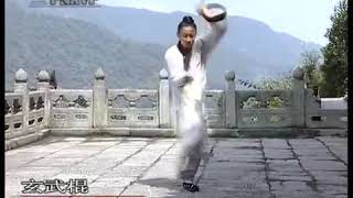 Wudang Pai Xuan Wu Gun - Tutorial by GM You Xuan De Part 1/2