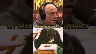 Rogan: My Grandmother Had a Monkey