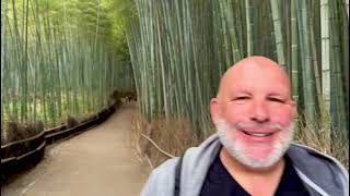 09 - Japan 2024 - Kyoto - Arashiyama Bamboo Forest