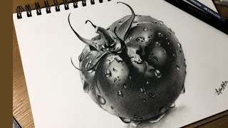 I Drew a STUNNING Tomato with Graphite Pencil!