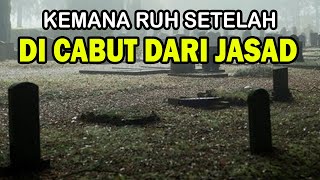 Ruh Setelah Meninggal Dunia, Kemana Ruh Setelah Dicabut Dari Jasad, Simak Penjelasannya