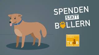 Spenden statt böllern! So leiden Tiere unter dem Silvesterlärm