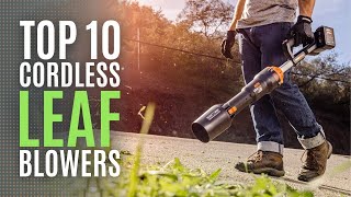 Top 10: Best Cordless Leaf Blowers of 2023 / Portable Leaf Blower for Lawn Care and Snow Blowing