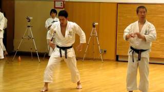 Sensei Shinji Nagaki demonstrates Nidan-geri