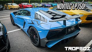 Beautifully Specced Novitec Lamborghini Aventador SV Accelerations & Backfires!