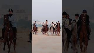 Dubai desert horse riding #song #love #bollywood #horseriding #horse #equestrian