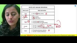 Aortic Arch Derivatives - Easy Mnemonic