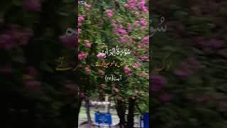 بے شک اللہ اپنی رحمت سے محروم نہیں رکھتا۔ #islamic_video