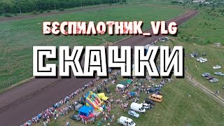 Скачки в Нехаевском районе Волгоградской обл.